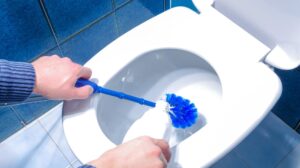 Clean the Toilet Thoroughly