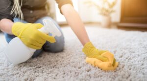 The Importance of Carpet Cleaning